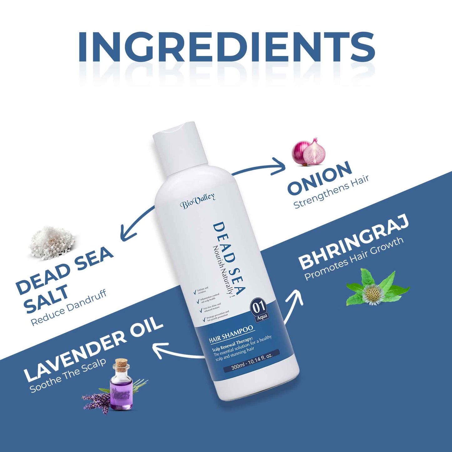 Dead Sea Shampoo for Oily Itchy Scalp & Dandruff
